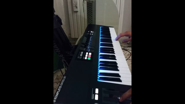 Rammstein - Asche zu Asche Flake live sound from Völkerball (Komplete Kontrol S61) смотреть онлайн
