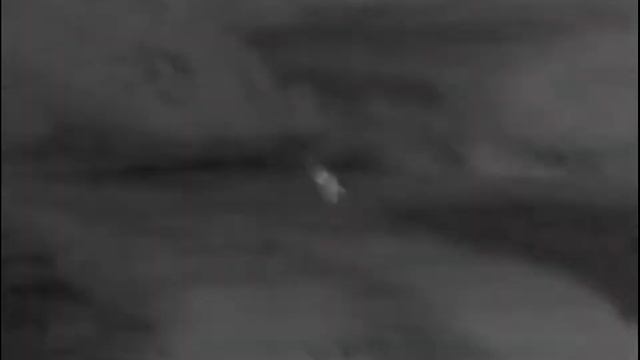 Fox Running on Pulsar AXION XM30S Thermal Imaging Scope смотреть онлайн