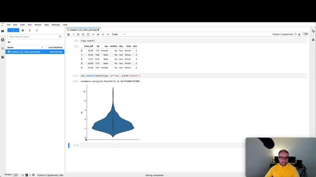 Seaborn Tutorial - Part 10: CATPLOT: Violin Plots смотреть онлайн