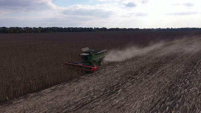 Подсолнух 824 смотреть онлайн