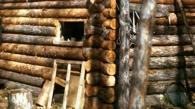 1981 год Якутия Олёкминский р он Реки Олёкма, Толбочан смотреть онлайн