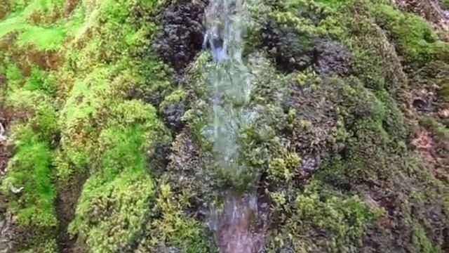 Течет ручей смотреть онлайн