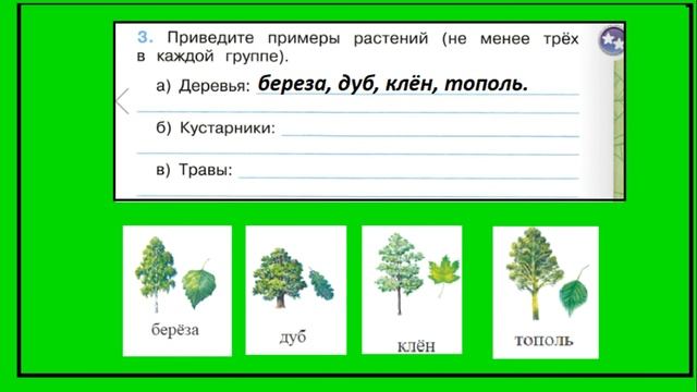 Какие бывают растения 3 задание. Окружающий мир 2 класс рабочая тетрадь. Группы растений смотреть онлайн