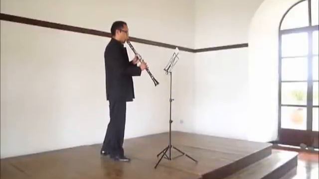 Soliloquies for Solo Clarinet, Leslie Bassett.wmv смотреть онлайн