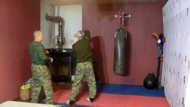Universal combat system Стиль орла и змеи 08 a смотреть онлайн