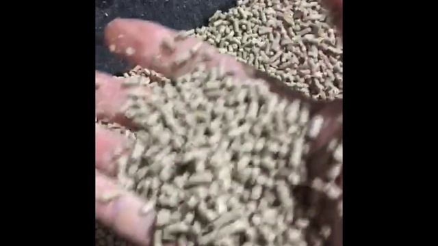 Видео От Клиента Гранулятор DR 150 inHome Регулировка Оборотов Частотным Преобразователем Granulato смотреть онлайн