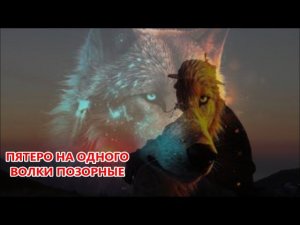 ВОЛКИ ПОД ГИПНОЗОМ . RikaNV HYPNOSE 350 D в деле.