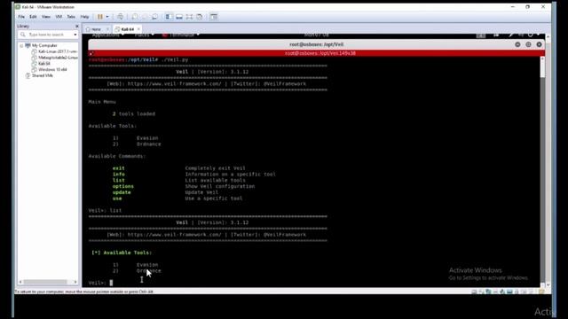 064 Veil Overview & Payload | Kali Linux Complete Course in Hindi | Cyber Security Full Course смотреть онлайн