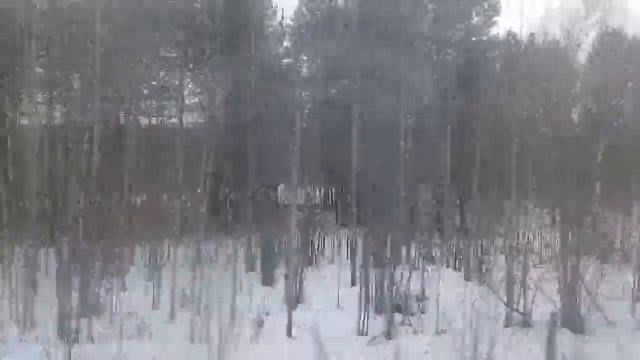 Посёлок Ропча из окна поезда, прибытие на станцию Крепежная 08.05.2018 смотреть онлайн