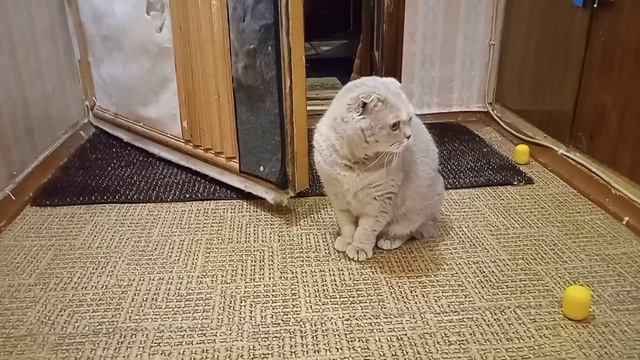 вы хоть на работе не пейте😂 смотреть онлайн