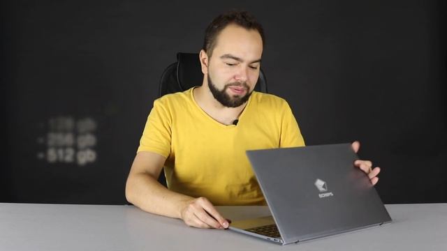 Echips Envy. Для чего подойдет? Какие характеристики? Что за ечипс? Какие гарантии? смотреть онлайн