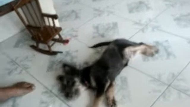 CloudNine in Action смотреть онлайн