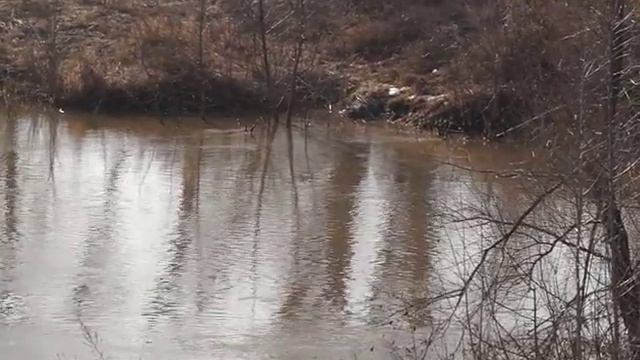 Подготовка к паводку в Бузулуке смотреть онлайн