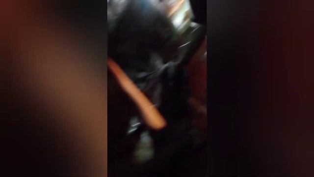 разведение содержание сверчков смотреть онлайн