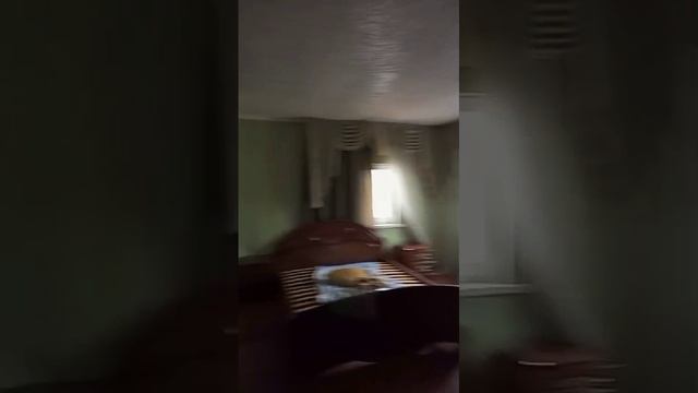 Ливенская смотреть онлайн