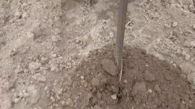междурядная обработка картофеля мотоблоки Нева смотреть онлайн