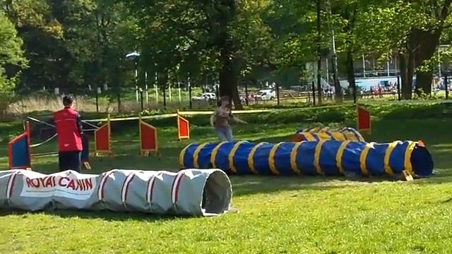 Fess A0 смотреть онлайн