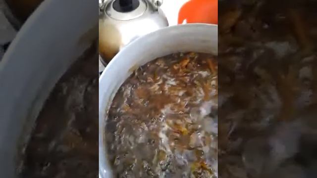 Самое вкусное и лечебное варенье из зелёной момордики смотреть онлайн
