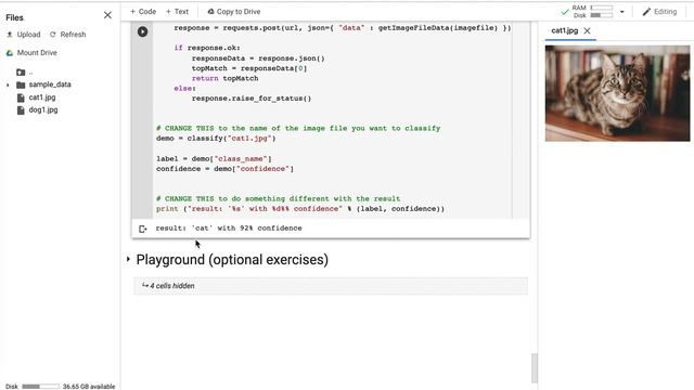 Machine Learning Image Classification in Python смотреть онлайн