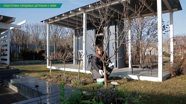 Подготовка сада к зиме. Уход за плодовыми осенью. смотреть онлайн