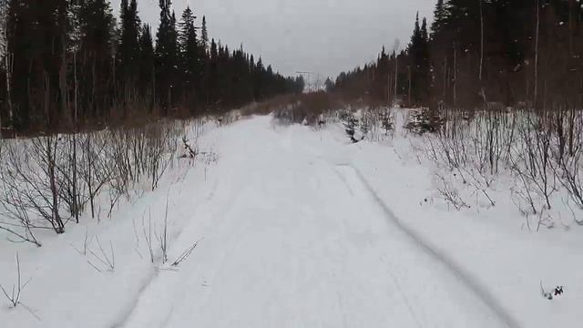 Скаут Сафари-3. Просто покатушки смотреть онлайн