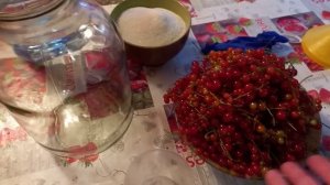 Очень простой рецепт ВИНА из смородины