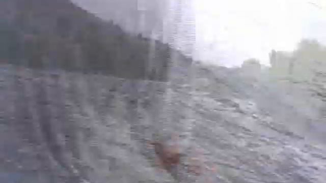 Водный поход по рекам Синюха и Южный буг, день 7 смотреть онлайн