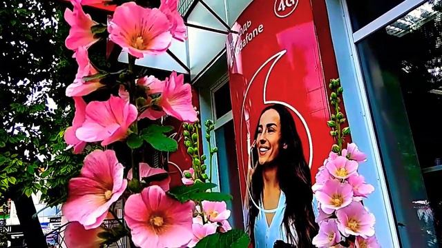 Улица Центральная. смотреть онлайн
