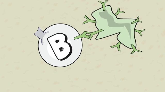 Video 15 Ig Antibodies and Immunoglobulin Function смотреть онлайн