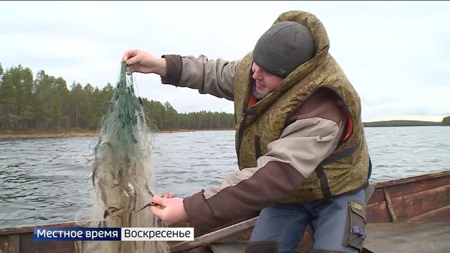 Фестиваль ряпушки прошел в старинном карельском селе Вокнаволок смотреть онлайн