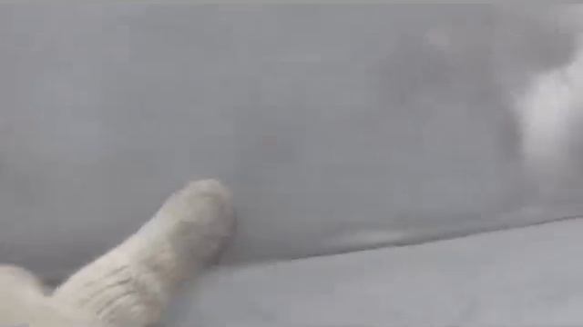 Шпатлевка " BODY 217 FIBERGLASS" смотреть онлайн