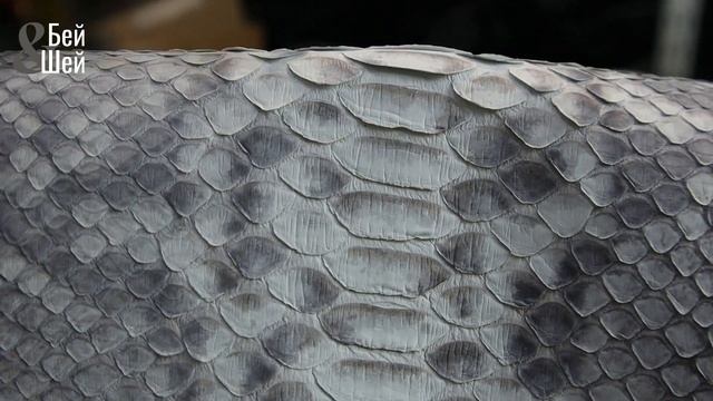 КАК РАСПОЗНАТЬ ПИТОНА смотреть онлайн