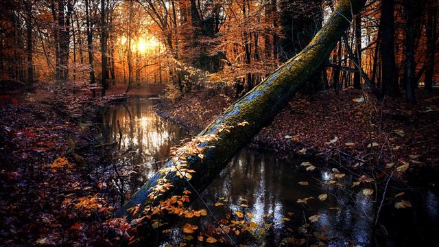 Relaxing Music. Meditation Music. Relax Music. смотреть онлайн