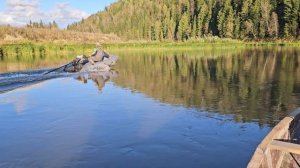 Мотор болотоход , гибкий вал , 15 лс .