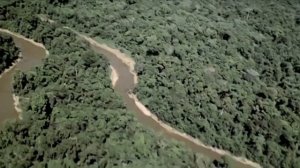 Ад Каннибалов