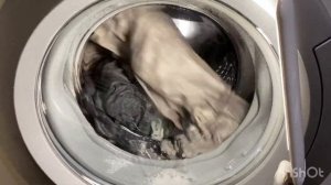 Bosch WFCX2460OE: Хлопок 60° Пятна, предварительная стирка, доп.полоскание