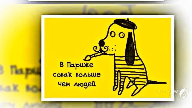 Интересные факты в картинках смотреть онлайн