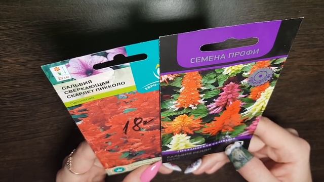 Что посеять в ФЕВРАЛЕ. Лучшие КРАСИВОЦВЕТУЩИЕ ОДНОЛЕТНИКИ и МНОГОЛЕТНИКИ смотреть онлайн