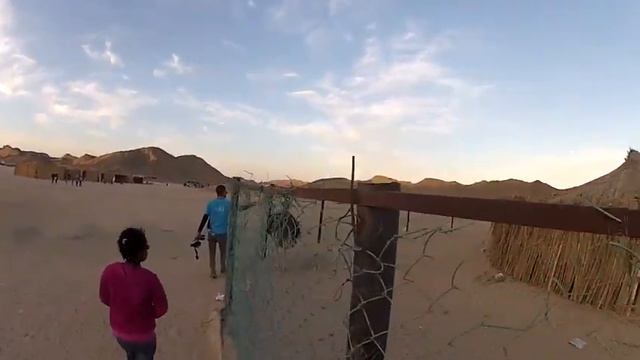 GoPro Страус Египет Сафари HD смотреть онлайн