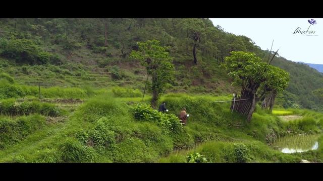 Chasing The Phallus || Bhutan Documentary || 2022