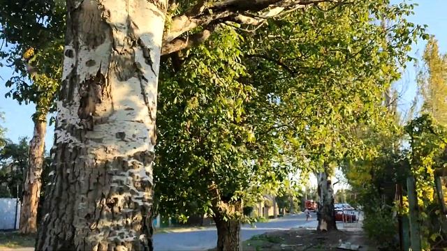 Мариуполь. Mariupol. Сентябрь 2023. Троицкая - Митрополитская смотреть онлайн