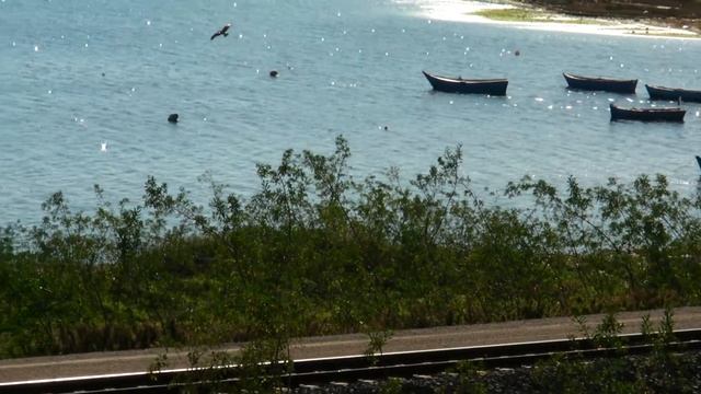 HDV 0442 samsung full hd vp-hmx20c xeu смотреть онлайн