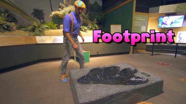 Blippi Visits Dinosaur Exhibition | Explore with BLIPPI!!! | Educational Videos for Toddlers смотреть онлайн