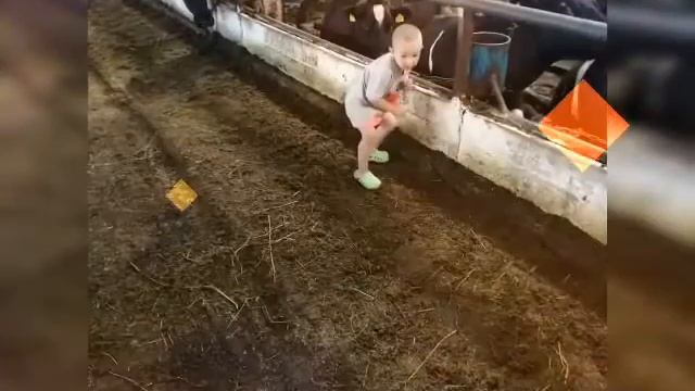 Наше лето в деревне!Тима на работе! смотреть онлайн