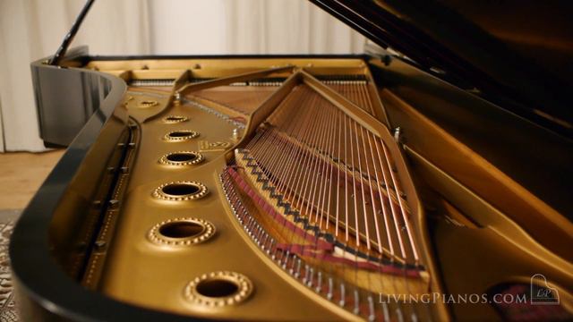 Steinway Concert Grand Piano - Steinway Model D for Sale - Living Pianos - Robert Estrin смотреть онлайн