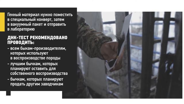 ДНК анализ на подтверждение родословной рус 2 смотреть онлайн