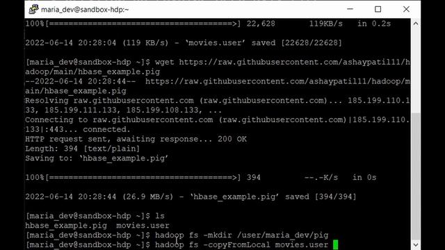 Working with HBase on Hadoop Cluster [Activity] | HBase Hadoop Tutorial | Lecture 24 смотреть онлайн