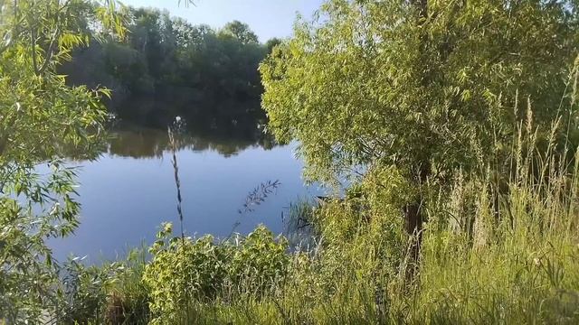 Свекровь явилась им на голову как королева, готовить не буду, убирать тоже... смотреть онлайн