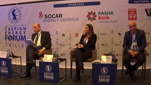 Irakli Karseladze - First Deputy Minister of Regional Development and Infrastructure of Georgia смотреть онлайн