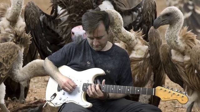 Vultures (live from WTLI ) by John Mayer - Guitar Lesson with TAB смотреть онлайн